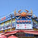 기장대게 이미지