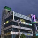 손정희치과의원 티스토리