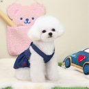F38 이미지