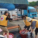 마지2리 이미지