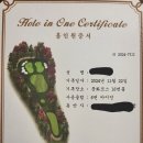 프아풍 이미지