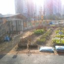 에코새싹유치원 이미지