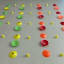 개와 집사의 시간 이미지