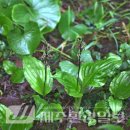 한라전설(주) 이미지