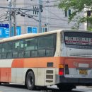 녹산농협 하나로마트 이미지