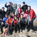 자굴산약국 이미지