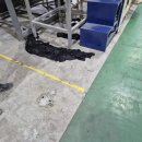 발안공단 기숙사 화장실·샤워실 누수 해결, '첨단 가스 탐지'로 뜯지 않고 당일 수리! (한길누수방수공사)