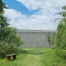 기시기천 이미지