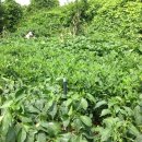 우리소농장 이미지