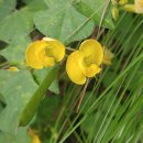 천송펜션 이미지