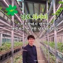 시티팜 주식회사 이미지