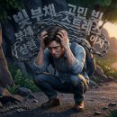 서민을위한법무사 | "개인회생 vs 파산신청, 헷갈리시죠?" 빚 때문에 잠 못 드는 당신을 위한 새출발 가이드