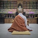 9월 서울 특강 안내 - 죄책감의 짐을 내려놓고 보리심의 날개를 펴다 이미지