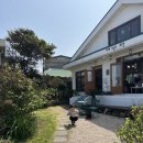 화창사 | 제주 구좌 카페 추천 🌿 당근케이크부터 한라봉 소르베까지, 오늘도 화창 방문 후기
