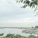 송도오토캠핑장 | 충남 태안군 캠핑장 추천 송도오토캠핑장 갯바위 낚시와 편안한 쉼터