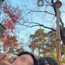 17통 | (W18) 심장이 터질 뻔 했던 상견례 후기/얼렁뚱땅 상견례 소동/삼청각 셔틀버스/삼청각 상견례 후기...