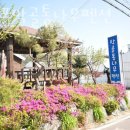 막골통나무펜션 이미지