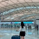네벤 | 호치민 공항 패스트트랙 입국 출국장 VIP 피크타임 예약 후기