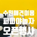 퍼피야놀자 이미지