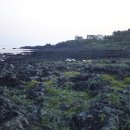 예래동 하예 포구 이미지