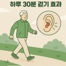 동해웰빙레포츠타운 생활체육공원 | 청력 저하를 막는 하루 30분 걷기 효과