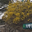 와룡공원 이미지