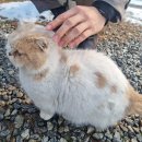 한재골장터국밥 | [전남 장성] 첨단3지구 자라봉국밥 가성비 국밥집