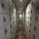 백퍼센트 이미지