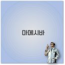 시바견 전문 가도켄넬 | 마메시바 분양가부터 가정분양 입양까지 가격과 방법 꼭 알아두세요