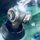 창동카정비 이미지