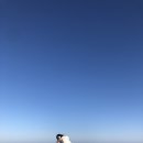 동백목장 이미지