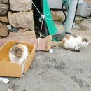 청해진슈퍼