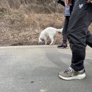 스퀘어독스 서산점 이미지