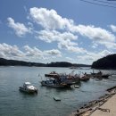 등대약국 | 선상24 어플 예약으로 태안 천리포 선상낚시, 글램핑 1호 체험낚시 후기