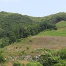 고려농원 이미지