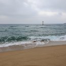 모닝하버 이미지