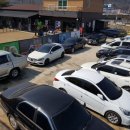 보스 애견호텔&유치원 네이버블로그