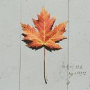 송가을스튜디오