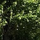 김한의원 이미지