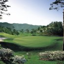 한솔골프존 이미지