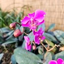 청라 노을공원 농구장 이미지