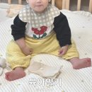 맵다 매워 재접근기(20개월 아기 일상, 성장발달)