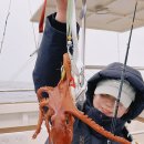 수산물직판장(17호) 이미지