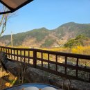 산수유꽃길로 | 구례 여행 산수유마을 카페 추천 꽃길로카페