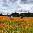 사랑의둥지 이미지