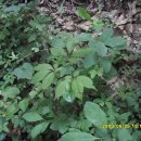 구심농장 이미지