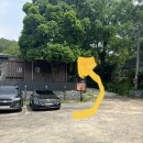 문산신발백화점 | 마롱리면사무소 카페/파주대형카페/율곡수목원 주변 카페/문산 카페/파주 베이커리 카페/파주 이색카페/