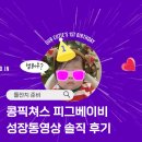 댄싱피그