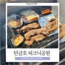 탄금호피크닉공원 3 이미지