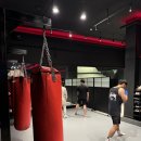 복싱타임 이미지